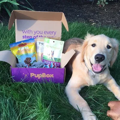 PupBox profile
