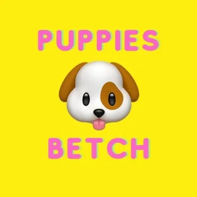 Dog memes profile