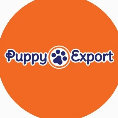 Puppy Export tienda de mascotas 🐶🐱🧡 profile