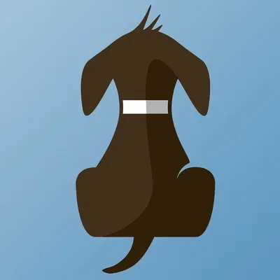 Puppy Tales ❤️’s Dogs profile
