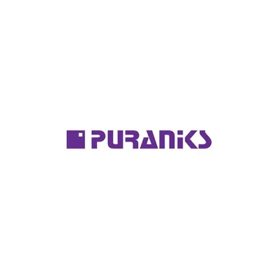 Puranik Builders Limited profile