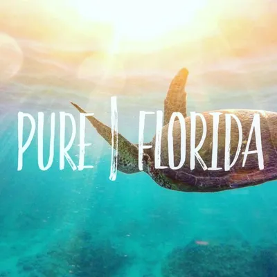 Pure Florida™ profile