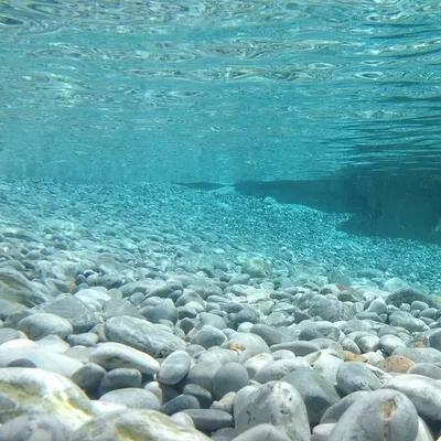 Jacobo Álvarez Naveiro profile