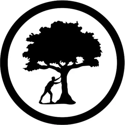 PUSH TREES CLOTHING profile