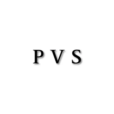 PARAM VIR SINGH profile