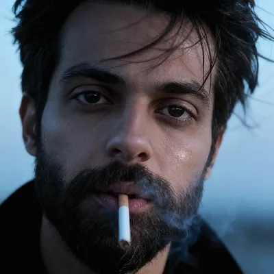 الفيلكاوي profile
