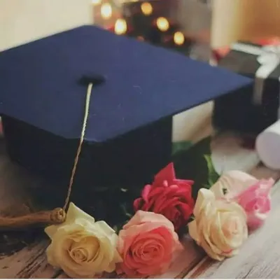 Qatar_Education services profile