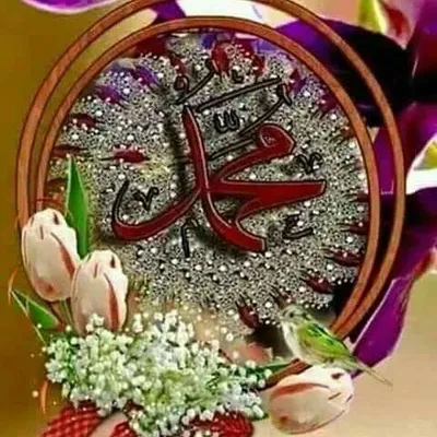 qazi saleem profile