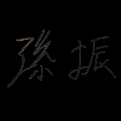 孫振 profile