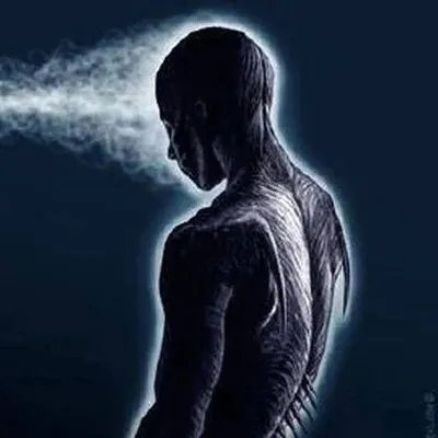 Quantum World:Awaken Your Mind profile