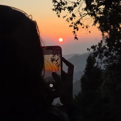 alvira khan profile
