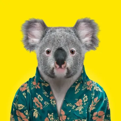 Queensland profile