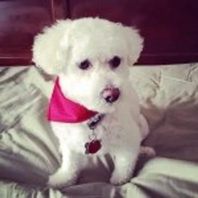 Quincy profile
