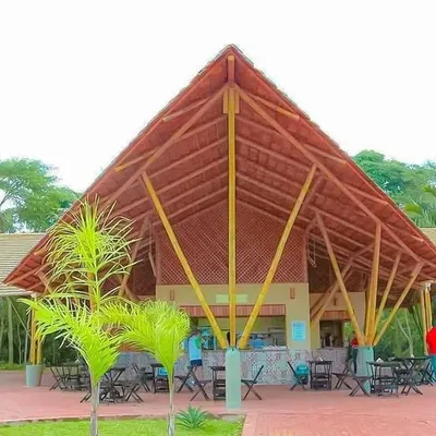 Quiosque Do Coco D & D - Ipê 🥥 profile