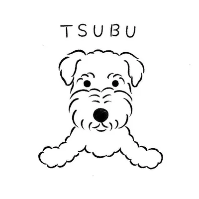 tsubuann profile