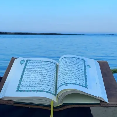 Quran Reflections profile