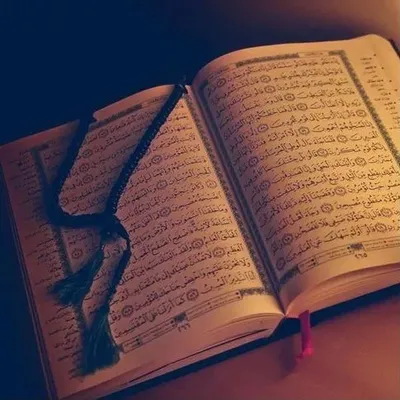 Quran Aur Hadeeth profile