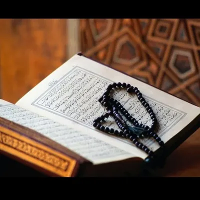 quran_verses profile