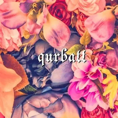 qurbatt profile