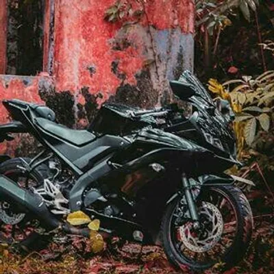 R15_V3_official profile