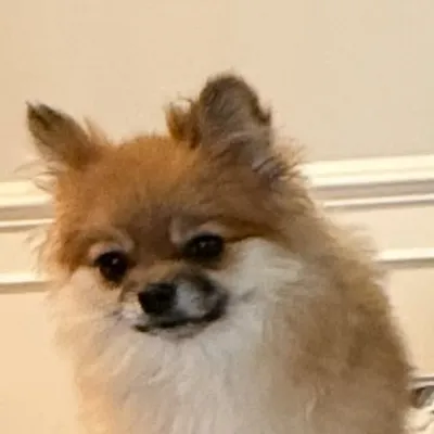Alex profile
