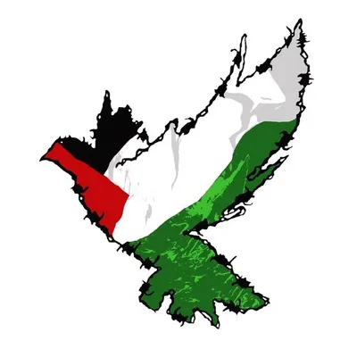 ناہید رحمان profile