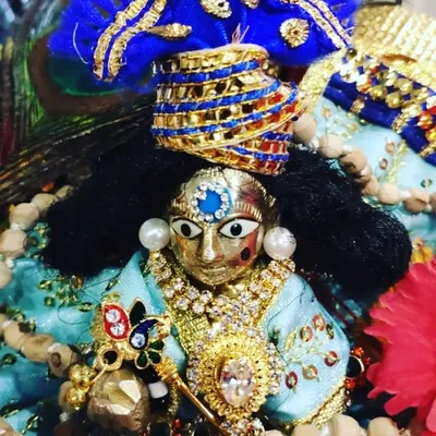 Rachna profile