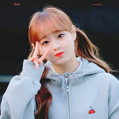 rabbit cute profile