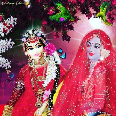Radha Krishna's Mercy profile