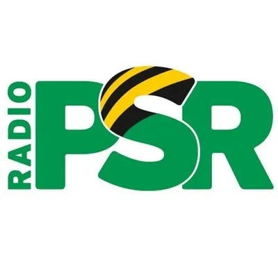 RADIO PSR profile