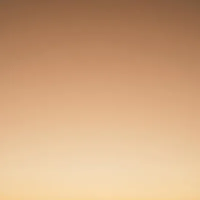 Raf Maes profile