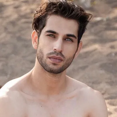Rahul koul profile