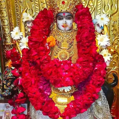 ๐ Royal Rajput ๐ profile