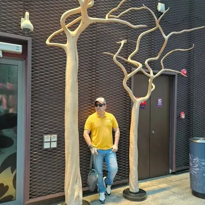 Rahul Bhardwaj profile