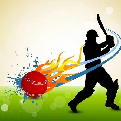 RAIGAD_CRICKET_OFFICIAL profile