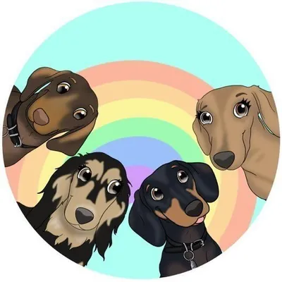 Bailey, Alfie, Oakley & Zaylee profile