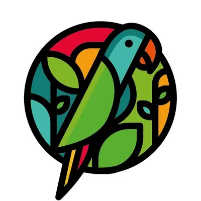 Rainforest Eye profile