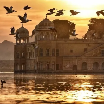 Rajasthan land of forts profile