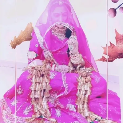 Rajputana bana baisa profile