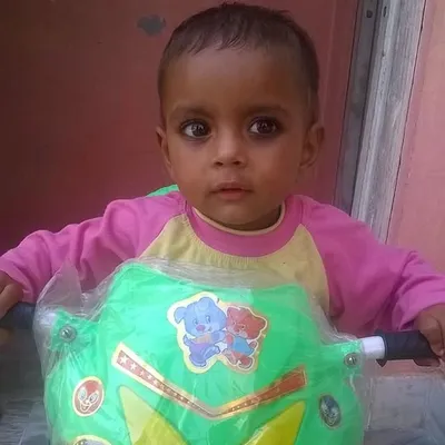 Raju Pal profile