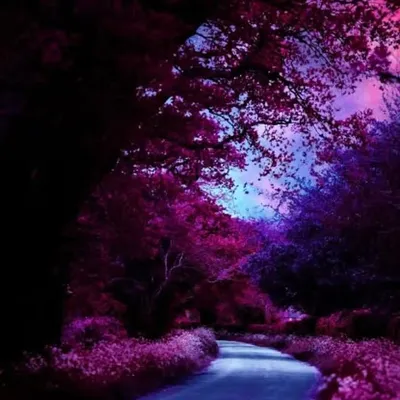 nature_quotes profile