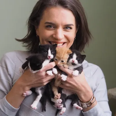Raleigh Foster Kittens ๐๐๐๐ profile