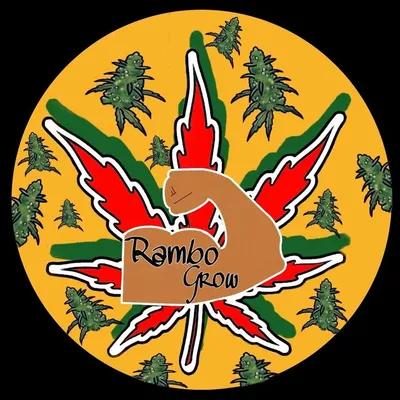 💪🏽Rambo💪🏽🌿Grow🍀 profile