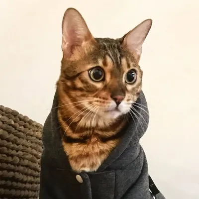 Ramon profile