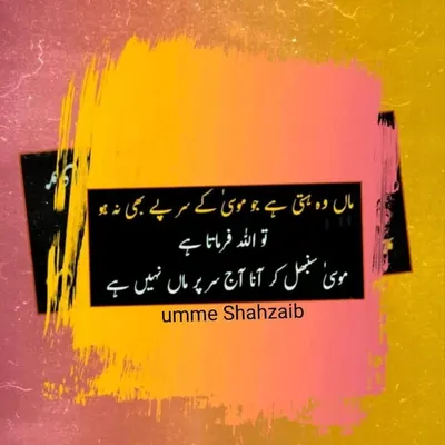 Umme Shahzaib profile