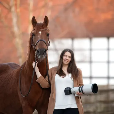 Tier- & Hochzeitsfotografin profile