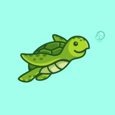 RANDOMTURTLE || Memes profile