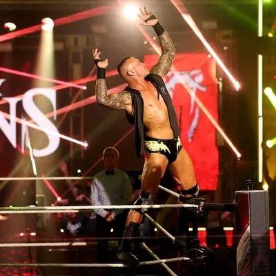 Your favorite Orton's mark profile