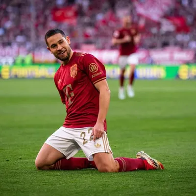 Guerreiro Raphael profile