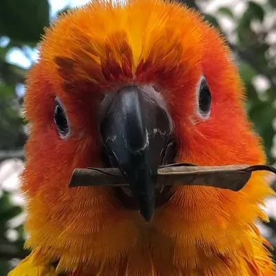 RAPTOR🦖 profile